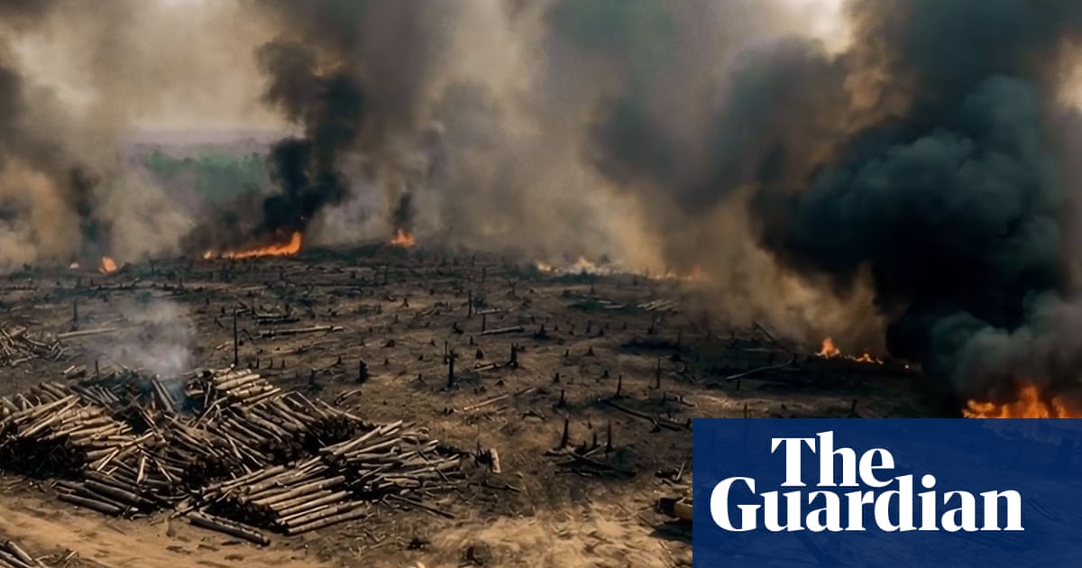 ‘Amazon of America’: film paints vision of a post-coup Brazil giving up rainforest